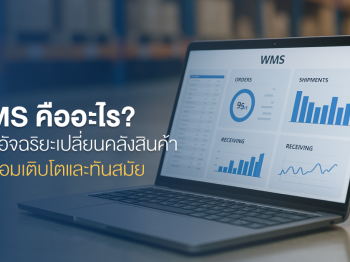 WMS คืออะไร